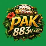 https://pk365.pk